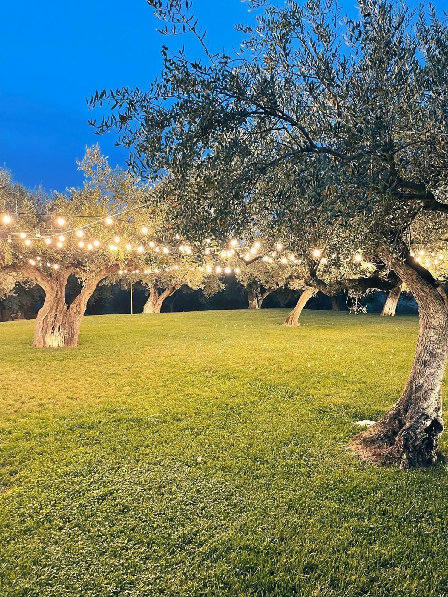 Agriturismo La Rustica Pianella  Exterior foto