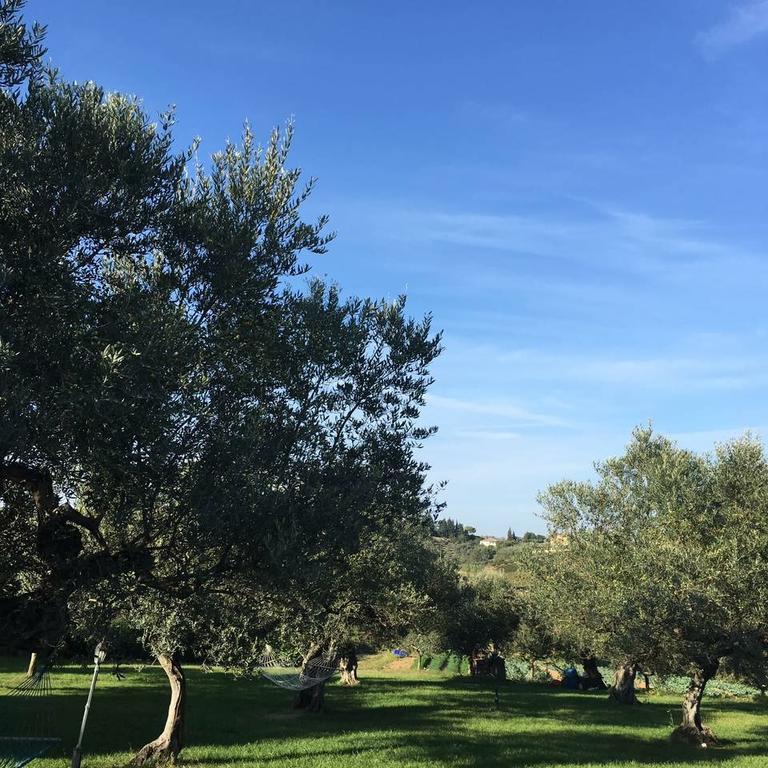 Agriturismo La Rustica Pianella  Exterior foto