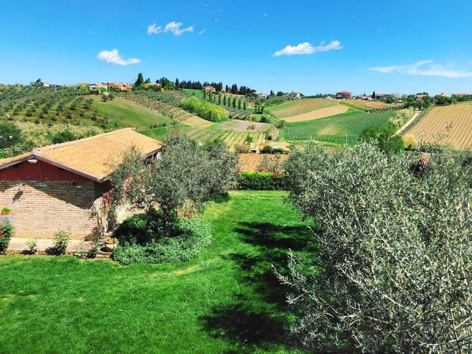 Agriturismo La Rustica Pianella  Exterior foto